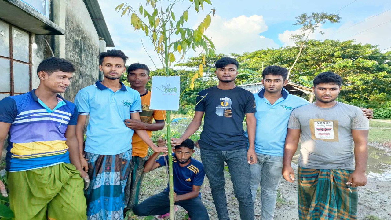 বোধ বৃক্ষরোপণ কর্মসূচি